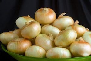 onions dish 300